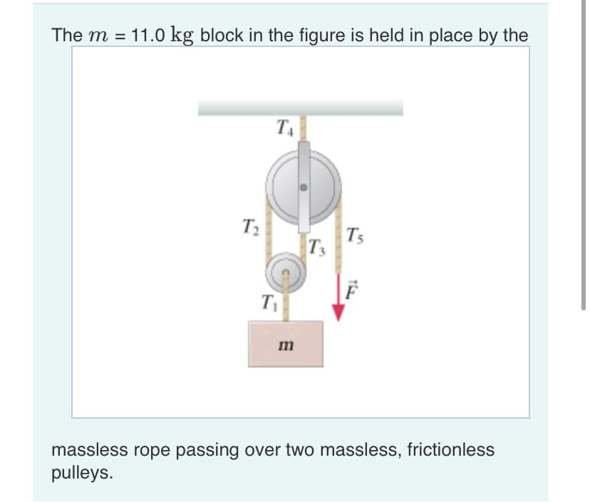 The m =
11.0 kg block in the figure is held in place by the
%3D
T2
T5
T3
T
m
massless rope passing over two massless, frictionless
pulleys.
