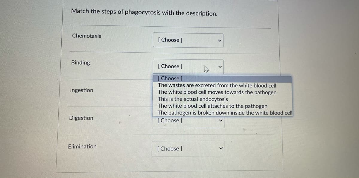 Match the steps of phagocytosis with the description.
Chemotaxis
[ Choose ]
Binding
[ Choose ]
[ Choose ]
The wastes are excreted from the white blood cell
The white blood cell moves towards the pathogen
This is the actual endocytosis
The white blood cell attaches to the pathogen
The pathogen is broken down inside the white blood cell
[ Choose ]
Ingestion
Digestion
Elimination
[ Choose ]
