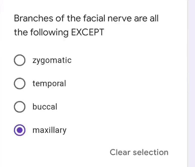 Branches of the facial nerve are all
the following EXCEPT
O zygomatic
O temporal
O buccal
O maxillary
Clear selection
