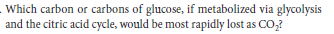 Which carbon or carbons of glucose, if metabolized via glycolysis
and the citric acid cycle, would be most rapidly lost as CO,?
