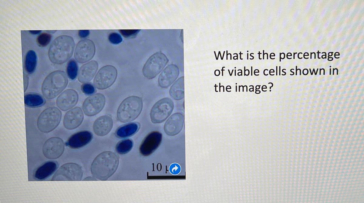 What is the percentage
of viable cells shown in
the image?
10 O
