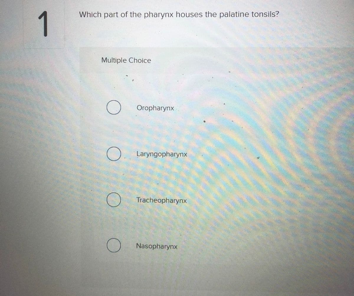 Which part of the pharynx houses the palatine tonsils?
1
Multiple Choice
Oropharynx
Laryngopharynx
Tracheopharynx
Nasopharynx
