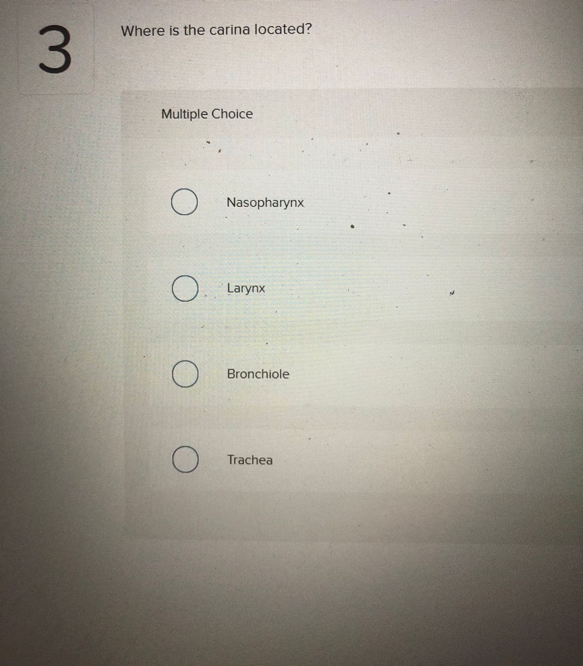 Where is the carina located?
Multiple Choice
Nasopharynx
Larynx
Bronchiole
Trachea
