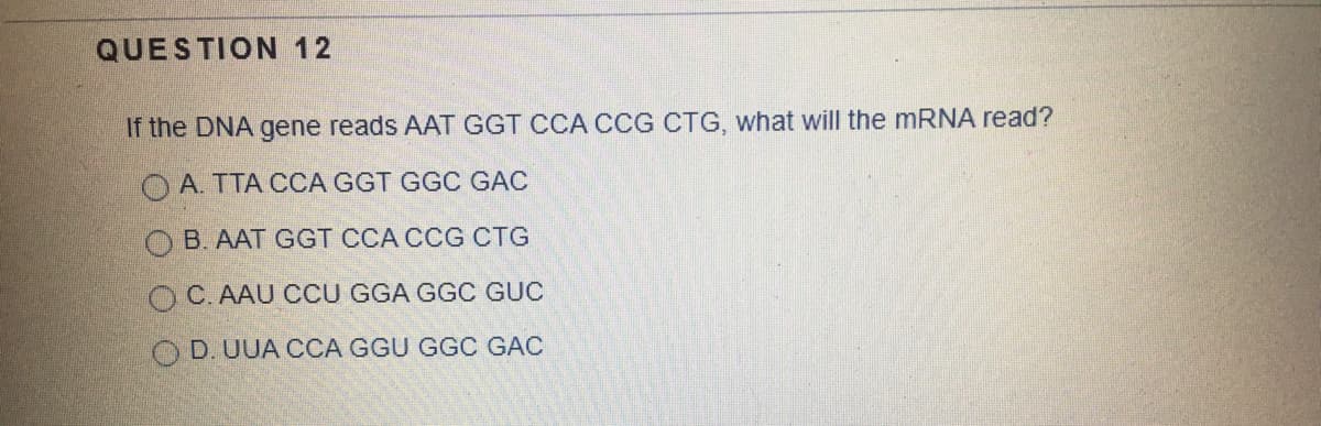 QUESTION 12
If the DNA gene reads AAT GGT CCA CCG CTG, what will the MRNA read?
OA TTA CCA GGT GGC GAC
O B. AAT GGT CCA CCG CTG
OC. AAU CCU GGA GGC GUC
O D. UUA CCA GGU GGC GAC
