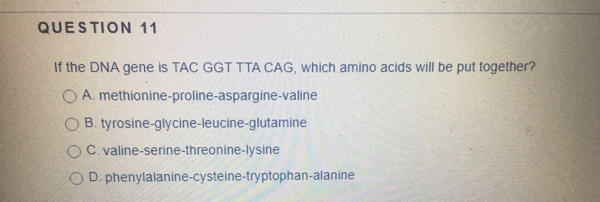 QUESTION 11
If the DNA gene is TAC GGT TTA CAG, which amino acids will be put together?
O A. methionine-proline-aspargine-valine
O B. tyrosine-glycine-leucine-glutamine
OC valine-serine-threonine-lysine
O D. phenylalanine-cysteine-tryptophan-alanine
