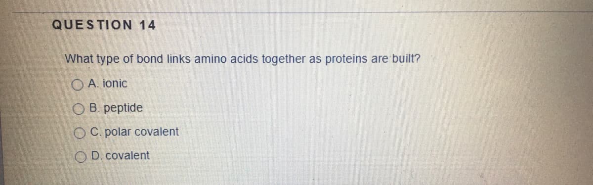 QUESTION 14
What type of bond links amino acids together as proteins are built?
O A. ionic
B. peptide
O C. polar covalent
O D. covalent
