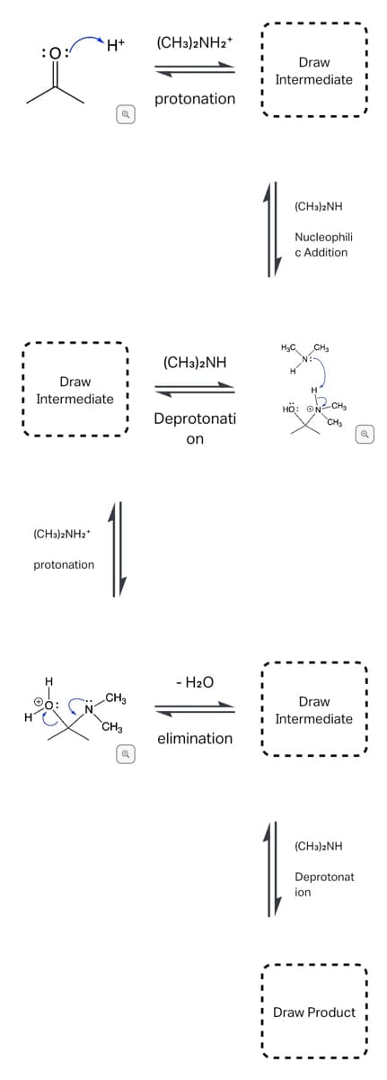 :0:
Draw
Intermediate
(CH3)2NH2*
H+
protonation
CH3
CH3
(CH3)2NH2+
protonation
(CH3)2NH
Deprotonati
on
- H₂O
elimination
Draw
Intermediate
(CH3)2NH
Nucleophili
c Addition
HỘI ĐN CHO
CH₂
Draw
Intermediate
(CH3)2NH
Deprotonat
ion
1
Draw Product