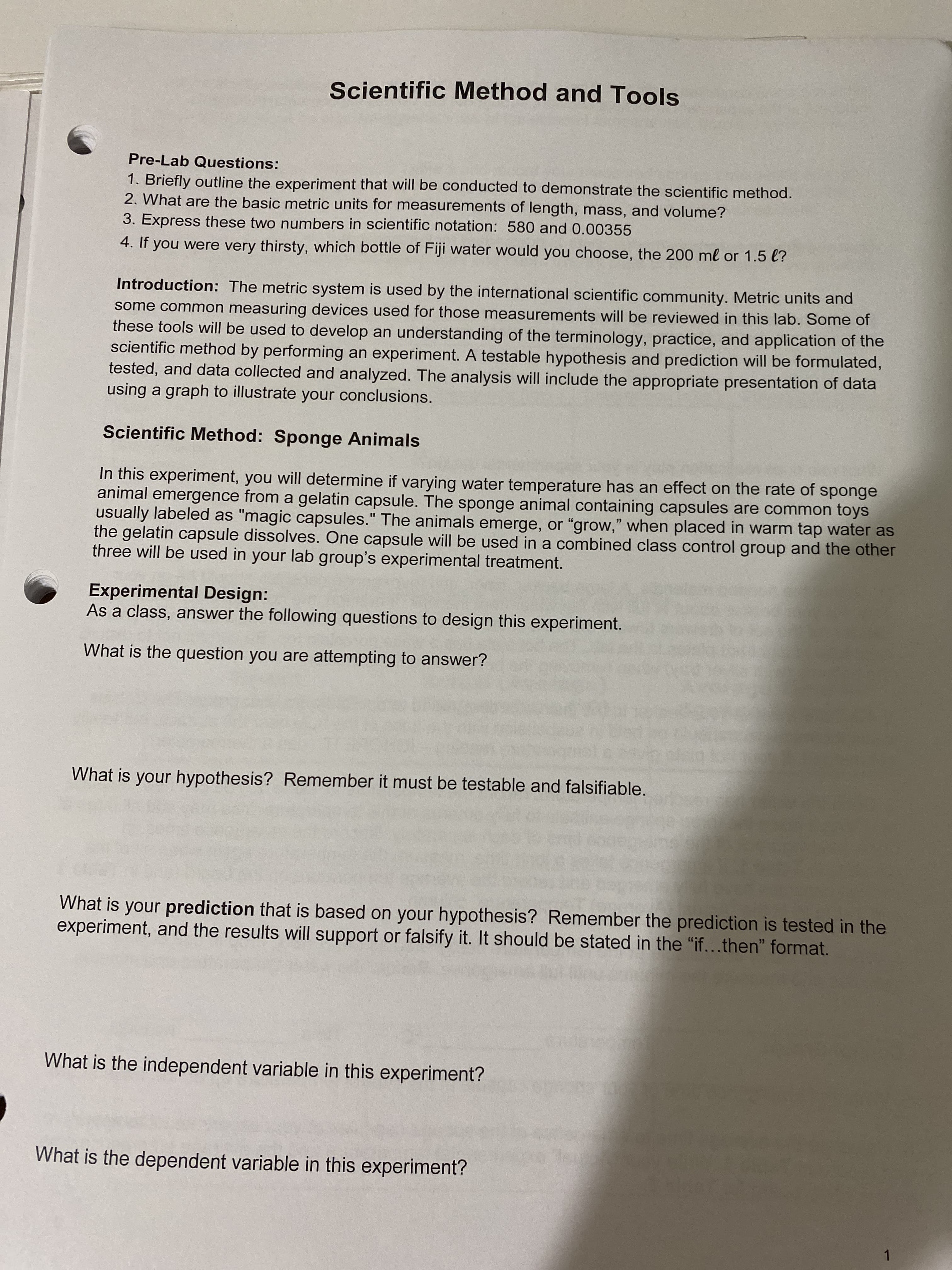 Scientific Method and Tools
Pre-Lab Questions:
1. Briefly outline the experiment that will be conducted to demonstrate the scientific method.
2. What are the basic metric units for measurements of length, mass, and volume?
3. Express these two numbers in scientific notation: 580 and 0.00355
4. If you were very thirsty, which bottle of Fiji water would you choose, the 200 ml or 1.5 l?
Introduction: The metric system is used by the international scientific community. Metric units and
some common measuring devices used for those measurements will be reviewed in this lab. Some of
these tools will be used to develop an understanding of the terminology, practice, and application of the
scientific method by performing an experiment. A testable hypothesis and prediction will be formulated,
tested, and data collected and analyzed. The analysis will include the appropriate presentation of data
using a graph to illustrate your conclusions.
Scientific Method: Sponge Animals
In this experiment, you will determine if varying water temperature has an effect on the rate of sponge
animal emergence from a gelatin capsule. The sponge animal containing capsules are common toys
usually labeled as "magic capsules." The animals emerge, or "grow," when placed in warm tap water as
the gelatin capsule dissolves. One capsule will be used in a combined class control group and the other
three will be used in your lab group's experimental treatment.
%3D
15
Experimental Design:
As a class, answer the following questions to design this experiment.
What is the question you are attempting to answer?
What is your hypothesis? Remember it must be testable and falsifiable.
What is your prediction that is based on your hypothesis? Remember the prediction is tested in the
experiment, and the results will support or falsify it. It should be stated in the "if...then" format.
What is the independent variable in this experiment?
What is the dependent variable in this experiment?
1.

