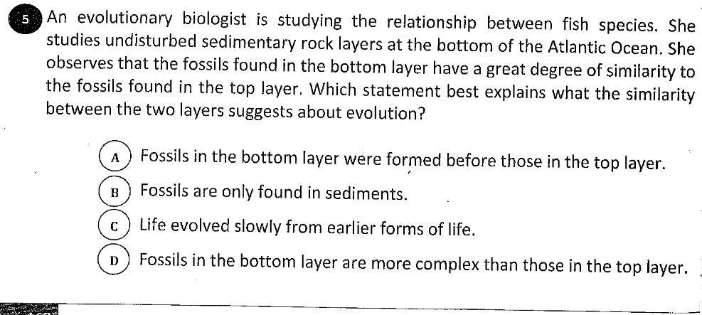An evolutionary biologist is studying the relationship between fish species. She
studies undisturbed sedimentary rock layers at the bottom of the Atlantic Ocean. She
observes that the fossils found in the bottom layer have a great degree of similarity to
the fossils found in the top layer. Which statement best explains what the similarity
between the two layers suggests about evolution?
5
A
Fossils in the bottom layer were formed before those in the top layer.
B
Fossils are only found in sediments.
C
Life evolved slowly from earlier forms of life.
Fossils in the bottom layer are more complex than those in the top layer.
