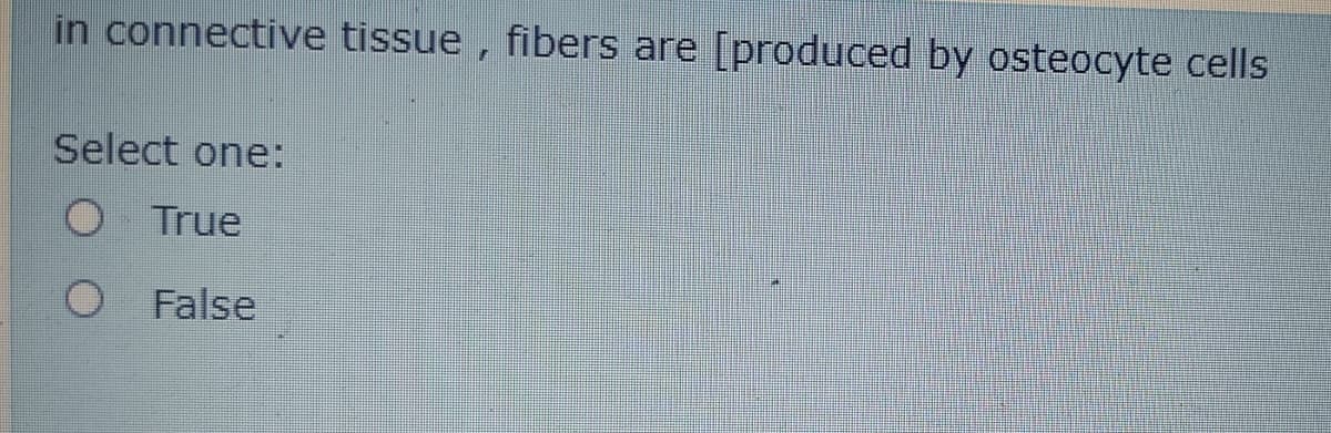 in connective tissue, fibers are [produced by osteocyte cells
Select one:
O True
O False
