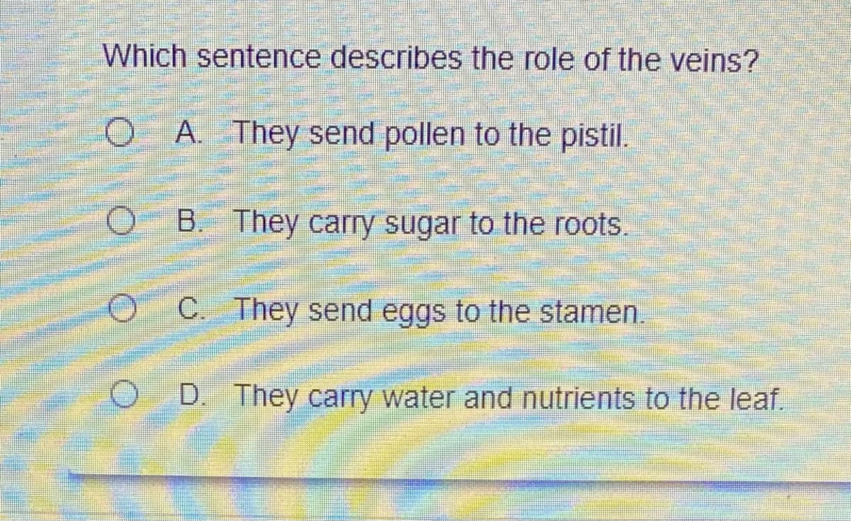 Which sentence describes the role of the veins?
OA They send pollen to the pistil.
B. They carry sugar to the roots.
C. They send eggs to the stamen.
D. They carry water and nutrients to the leaf.
