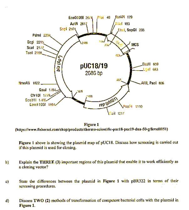 Eco01091 20/4
Plai 48
PstAPI 179
Aath 2613
Liet 183
Sspl 2501
Ehel, SspDI 235
Pdmi 2234
Bogl 2215
Scal 2177
Tsol 2108
2456
MCS
BsaX 659
pUC18/19
2686 bp
NmeAlli 1822
Afl, Pscl 806
Gsul 1/84
Ctri0l 17/19,
Eco311 1/66
Eam1105! I691
466
rep (PMB1)
Cail 1217
Psp-i 1110
Figure 1
(https://www.fishersci.com/shop/products/thermo-scientific-puc18-pue19-dna-50-g/fersd0051)
Figure I above is showing the plasmid map of PUC18. Discuss how screening is carried out
if this plasmid is used for cloning.
Explain the THREF. (3) important regions of this plasmid that enable it to work efficiently as
a cloning vector?
b)
State the differences between the plasmid in Figure i with PBR322 in terms of their
sercening procedures.
c)
Discuss TWO (2) methods of transformation of competent bacterial cells with the plasmid in
Figure 1.
d)
bla (Ap)
