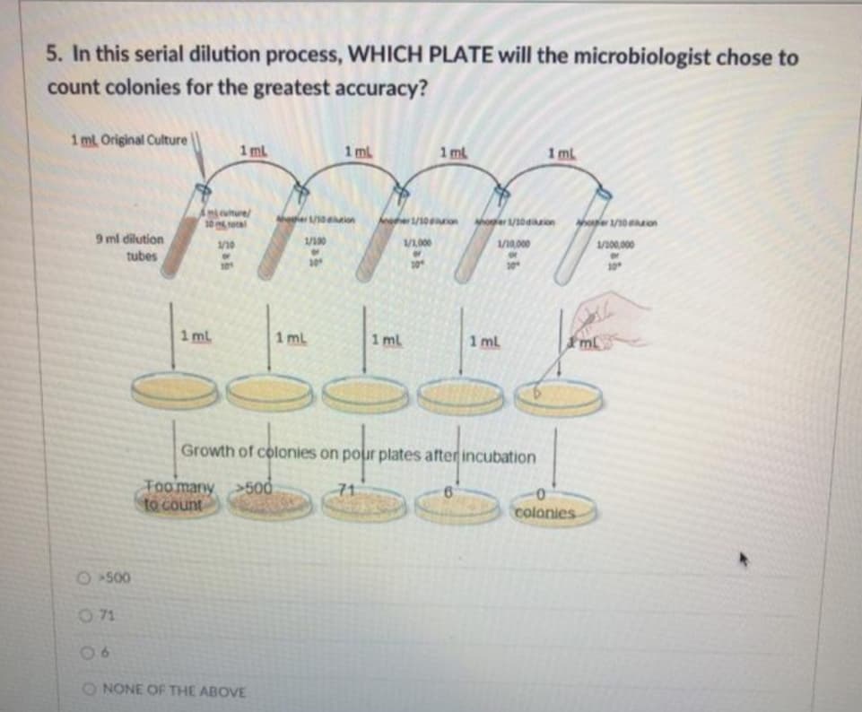 5. In this serial dilution process, WHICH PLATE will the microbiologist chose to
count colonies for the greatest accuracy?
1 ml Original Culture
1 ml
1 ml
1 ml
1 mL
Imtcuture/
10 teal
hoe ion
heaher/10on
Ahoer 10dion
9 ml dilution
/10
1/10
V1,000
1/10.000
1/100,000
tubes
10
1 mL
1 mL
1 ml
1 ml
Growth of colonies on pour plates after incubation
Toomany
to count
>500
71.
colonies
O500
O71
O NONE OF THE ABOVE
