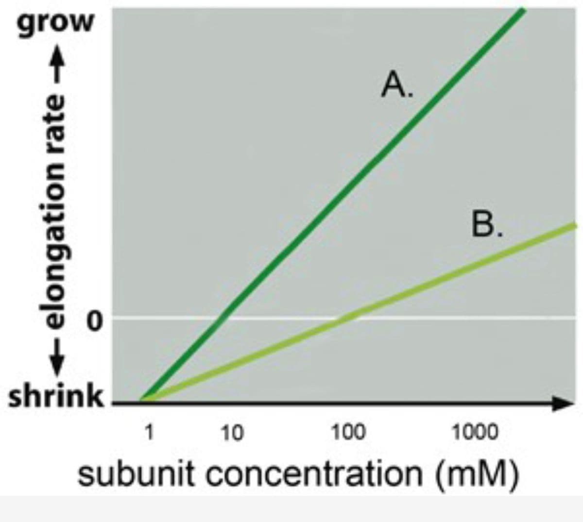 grow
- elongation rate →
↓
shrink
A.
1
100
1000
subunit concentration (MM)
10