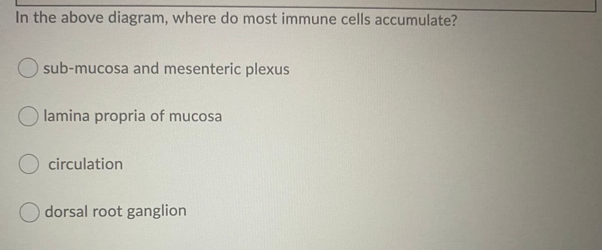 In the above diagram, where do most immune cells accumulate?
sub-mucosa and mesenteric plexus
O lamina propria of mucosa
O circulation
O dorsal root ganglion
