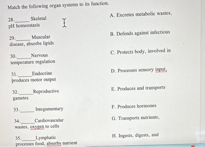 Match the following organ systems to its function.
Skeletal
28.
pH homeostasis
29.
Muscular
disease, absorbs lipids
30.
Nervous
temperature regulation
31.
Endocrine
produces motor output
Reproductive
32.
gametes
33.
I
Integumentary
Cardiovascular
34.
wastes, oxygen to cells
35.
Lymphatic
processes food, absorbs nutrient
A. Excretes metabolic wastes,
B. Defends against infectious
C. Protects body, involved in
D. Processes sensory input,
E. Produces and transports
F. Produces hormones
G. Transports nutrients,
H. Ingests, digests, and