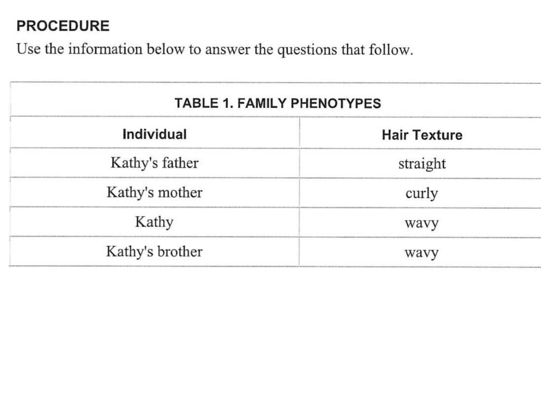 PROCEDURE
Use the information below to answer the questions that follow.
TABLE 1. FAMILY PHENOTYPES
Individual
Kathy's father
Kathy's mother
Kathy
Kathy's brother
Hair Texture
straight
curly
wavy
wavy