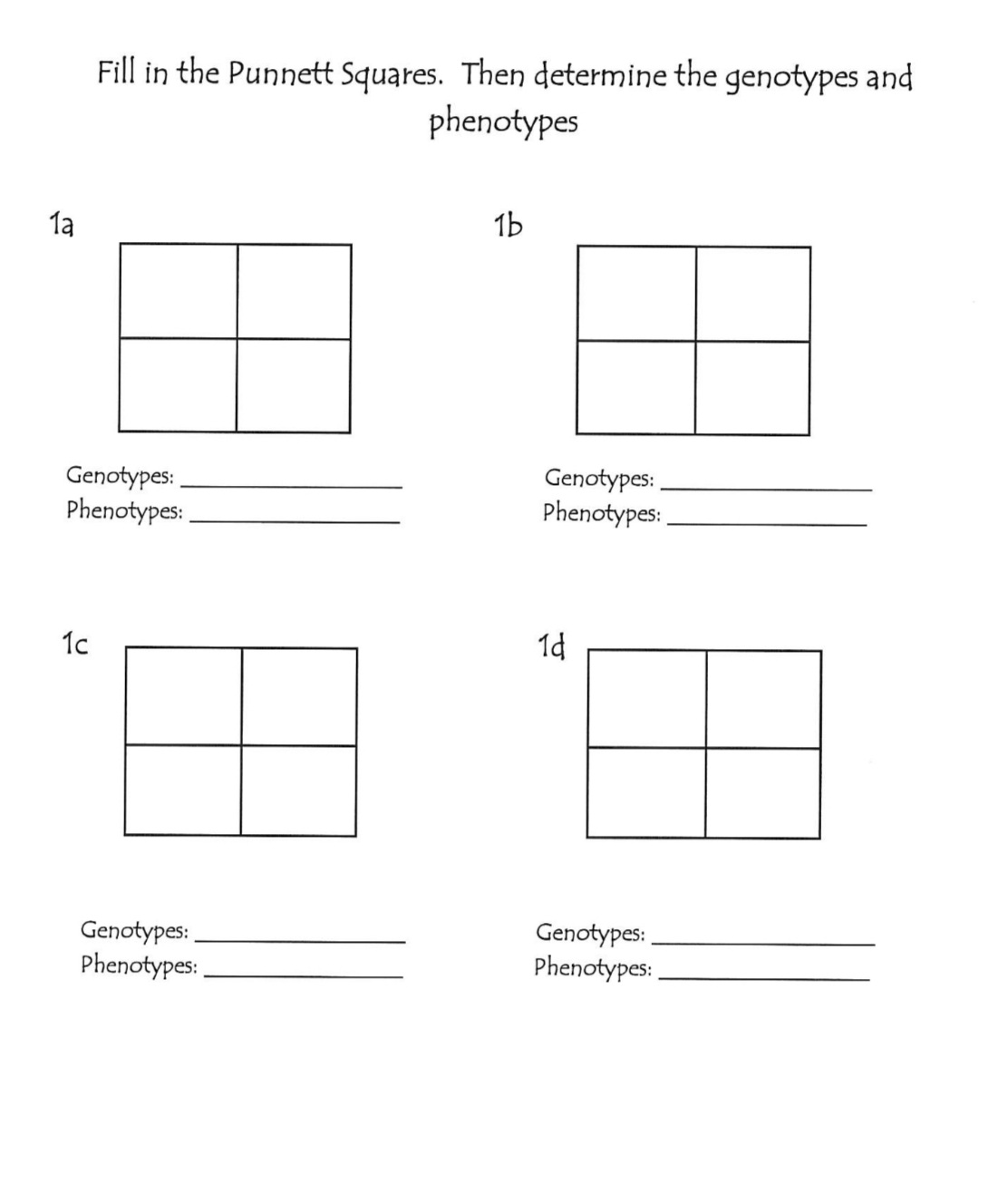 1a
Fill in the Punnett Squares. Then determine the genotypes and
phenotypes
Genotypes:
Phenotypes:
1c
Genotypes:
Phenotypes:
1b
Genotypes:
Phenotypes:
14
Genotypes:
Phenotypes: