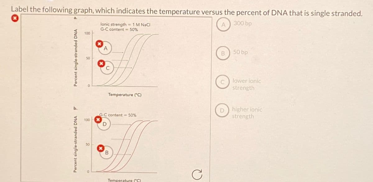 Label the following graph, which indicates the temperature versus the percent of DNA that is single stranded.
a.
Percent single-stranded DNA
Percent single-stranded DNA
lonic strength = 1 M NaCl
100
G-C content = 50%
50
A
C
A
300 bp
B
50 bp
lower ionic
strength
Temperature (°C)
higher ionic
strength
100
G-C content = 50%
D
B
C
Temperature (°C)