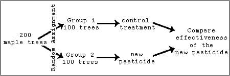 Group 1
/100 trees
control
treatment
Compare
effectiveness
200
maple trees 4
of the
new pesticide
* Group 2
100 trees
new
pesticide
Random Assignment
