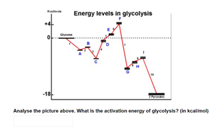 Energy levels in glycolysis
+4-
-18
Analyse the picture above. What is the activation energy of glycolysis? (In kcalimol)
