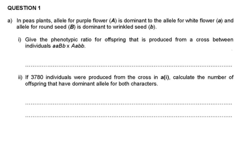 QUESTION 1
a) In peas plants, allele for purple flower (A) is dominant to the allele for white flower (a) and
allele for round seed (B) is dominant to wrinkled seed (b).
i) Give the phenotypic ratio for offspring that is produced from a cross between
individuals aaBbx Aabb.
ii) If 3780 individuals were produced from the cross in a(i), calculate the number of
offspring that have dominant allele for both characters.
......
