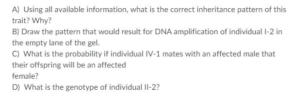 A) Using all available information, what is the correct inheritance pattern of this
trait? Why?
B) Draw the pattern that would result for DNA amplification of individual I-2 in
the empty lane of the gel.
C) What is the probability if individual IV-1 mates with an affected male that
their offspring will be an affected
female?
D) What is the genotype of individual Il-2?
