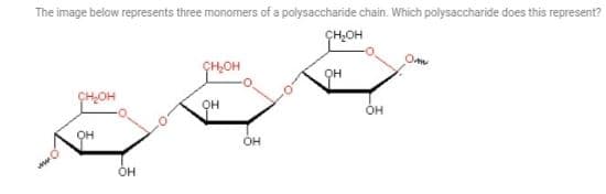 The image below represents three monomers of a polysaccharide chain. Which polysaccharide does this represent?
ÇH,OH
Om
ÇH,OH
Он
OH
он
OH
