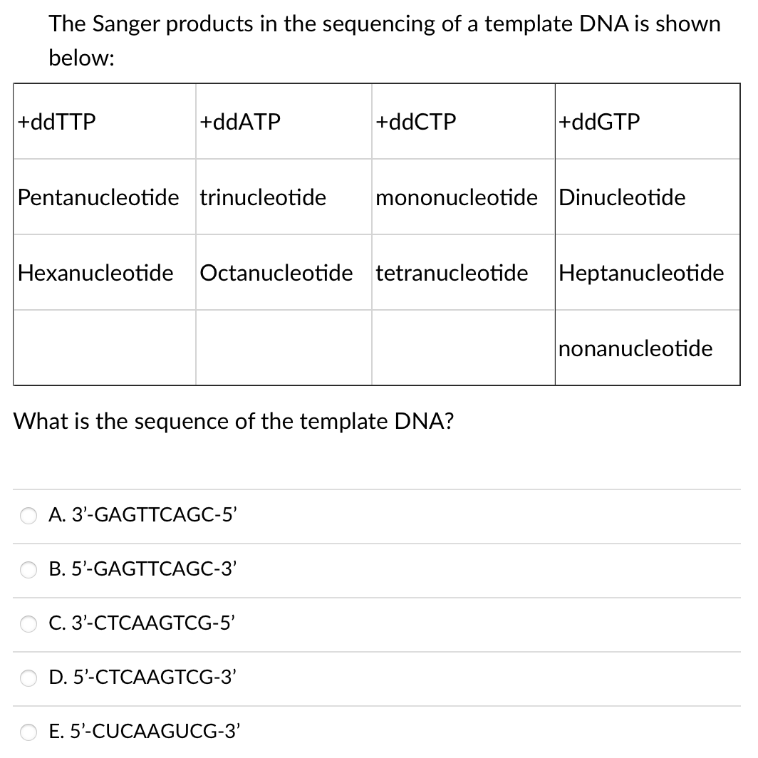 The Sanger products in the sequencing of a template DNA is shown
below:
+ddTTP
+ddATP
+ddCTP
+ddGTP
Pentanucleotide trinucleotide
mononucleotide Dinucleotide
Hexanucleotide
Octanucleotide tetranucleotide
Heptanucleotide
nonanucleotide
What is the sequence of the template DNA?
A. 3'-GAGTTCAGC-5'
B. 5'-GAGTTCAGC-3'
С. 3-СТСААGТCG-5'
D. 5-СТCААGТCG-3'
E. 5'-CUCAAGUCG-3'
