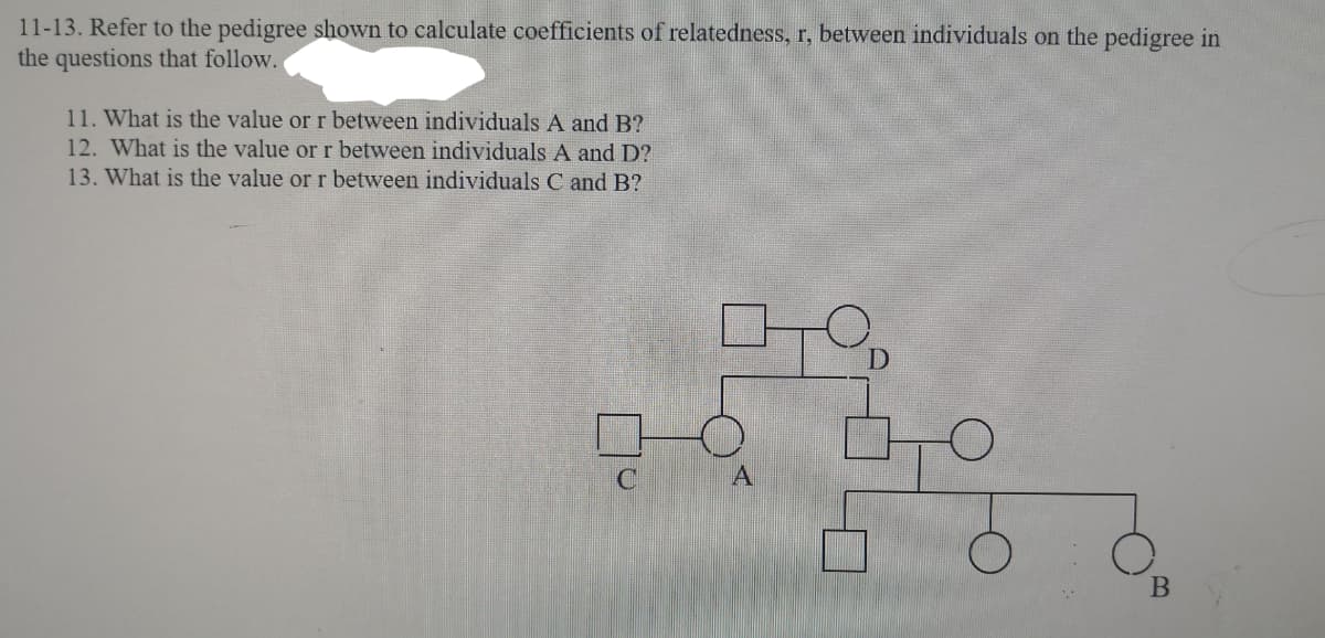 11-13. Refer to the pedigree shown to calculate coefficients of relatedness, r, between individuals on the pedigree in
the questions that follow.
11. What is the value or r between individuals A and B?
12. What is the value or r between individuals A and D?
13. What is the value or r between individuals C and B?
