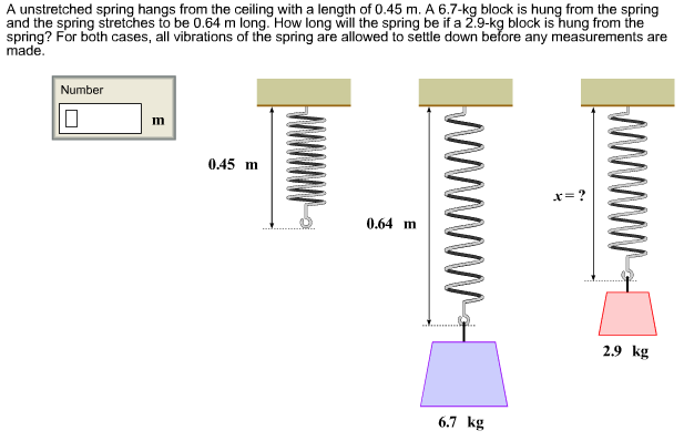 A unstretched spring hangs from the ceiling with a length of 0.45 m. A 6.7-kg block is hung from the spring
and the spring stretches to be 0.64 m long. How long will the spring be if a 2.9-kg block is hung from the
spring? For both cases, all vibrations of the spring are allowed to settle down before any measurements are
made
Number
0.45 m
0.64 m
2.9 kg
6.7 kg
