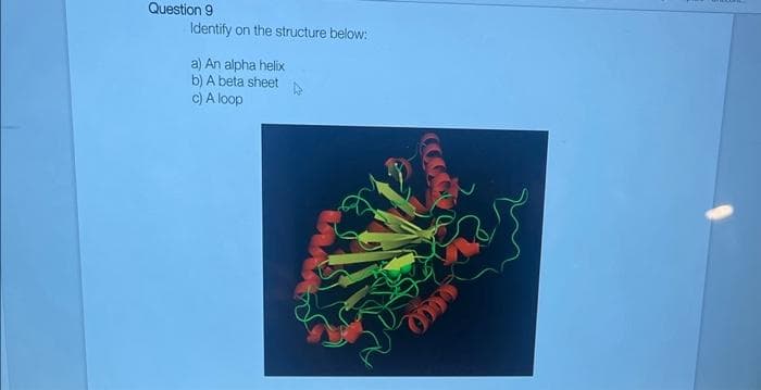 Question 9
Identify on the structure below:
a) An alpha helix
b) A beta sheet
c) A loop