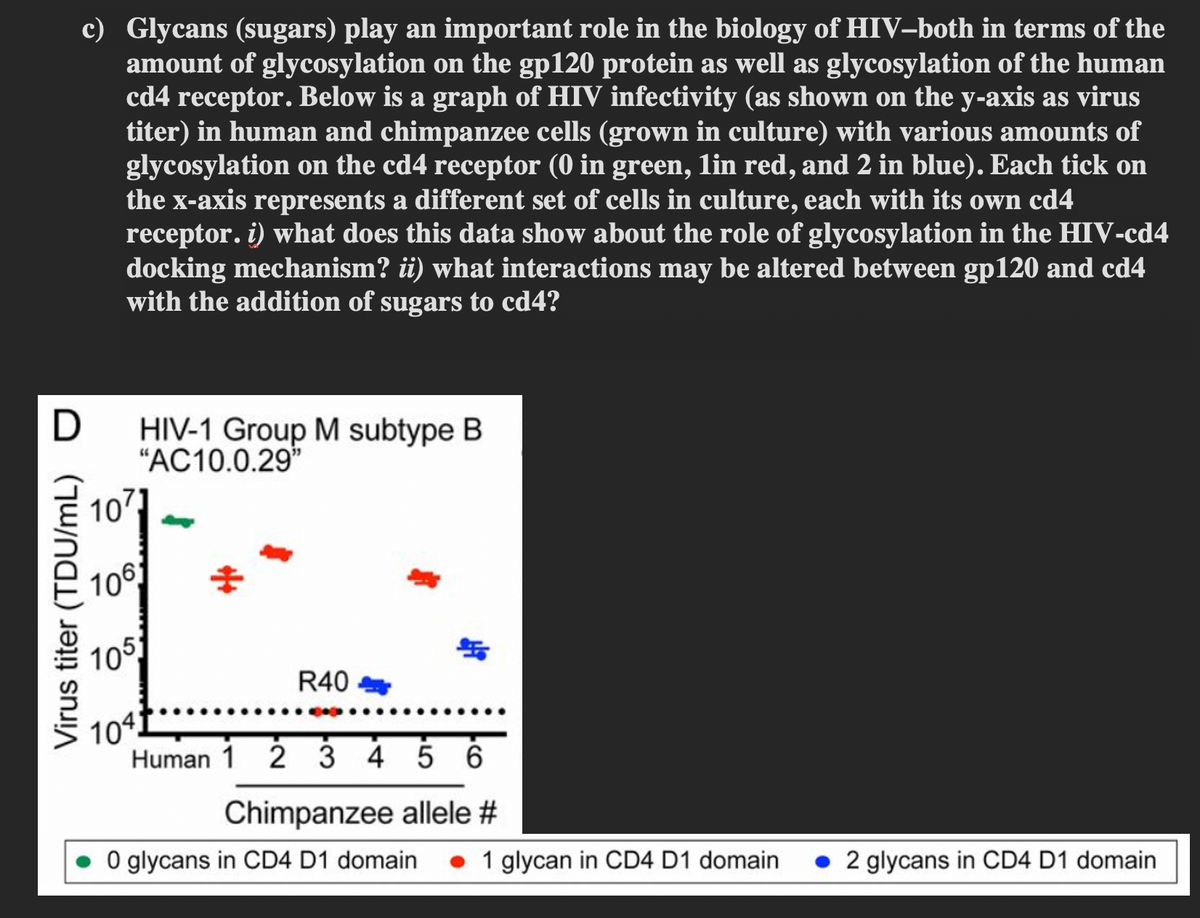 c) Glycans (sugars) play an important role in the biology of HIV-both in terms of the
amount of glycosylation on the gp120 protein as well as glycosylation of the human
cd4 receptor. Below is a graph of HIV infectivity (as shown on the y-axis as virus
titer) in human and chimpanzee cells (grown in culture) with various amounts of
glycosylation on the cd4 receptor (0 in green, 1in red, and 2 in blue). Each tick on
the x-axis represents a different set of cells in culture, each with its own cd4
receptor. i) what does this data show about the role of glycosylation in the HIV-cd4
docking mechanism? ii) what interactions may be altered between gp120 and cd4
with the addition of sugars to cd4?
D
Virus titer (TDU/mL)
10
HIV-1 Group M subtype B
"AC10.0.29"
106
105
104
R40-
Human 1 2 3 4 5 6
Chimpanzee allele #
0 glycans in CD4 D1 domain
1 glycan in CD4 D1 domain
2 glycans in CD4 D1 domain