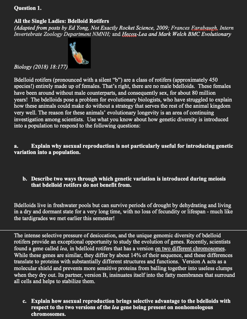 Question 1.
All the Single Ladies: Bdelloid Rotifers
(Adapted from posts by Ed Yong, Not Exactly Rocket Science, 2009; Frances Farabaugh, Intern
Invertebrate Zoology Department NMNH; and Hecox-Lea and Mark Welch BMC Evolutionary
Biology (2018) 18:177)
Bdelloid rotifers (pronounced with a silent "b") are a class of rotifers (approximately 450
species!) entirely made up of females. That's right, there are no male bdelloids. These females
have been around without male counterparts, and consequently sex, for about 80 million
years! The bdelloids pose a problem for evolutionary biologists, who have struggled to explain
how these animals could make do without a strategy that serves the rest of the animal kingdom
very well. The reason for these animals' evolutionary longevity is an area of continuing
investigation amo scientists. Use what you know about how genetic diversity is introduced
into a population to respond to the following questions:
Explain why asexual reproduction is not particularly useful for introducing genetic
variation into a population.
a.
b. Describe two ways through which genetic variation is introduced during meiosis
that bdelloid rotifers do not benefit from.
Bdelloids live in freshwater pools but can survive periods of drought by dehydrating and living
in a dry and dormant state for a very long time, with no loss of fecundity or lifespan - much like
the tardigrades we met earlier this semester!
The intense selective pressure of desiccation, and the unique genomic diversity of bdelloid
rotifers provide an exceptional opportunity to study the evolution of genes. Recently, scientists
found a gene called lea, in bdelloid rotifers that has a version on two different chromosomes.
While these genes are similar, they differ by about 14% of their sequence, and these differences
translate to proteins with substantially different structures and functions. Version A acts as a
molecular shield and prevents more sensitive proteins from balling together into useless clumps
when they dry out. Its partner, version B, insinuates itself into the fatty membranes that surround
all cells and helps to stabilize them.
c. Explain how asexual reproduction brings selective advantage to the bdelloids with
respect to the two versions of the lea gene being present on nonhomologous
chromosomes.