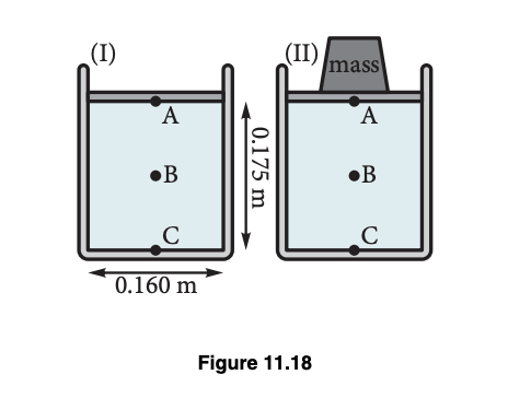 (I)
A
●B
C
0.160 m
0.175 m
(II)
Figure 11.18
mass
A
●B
C