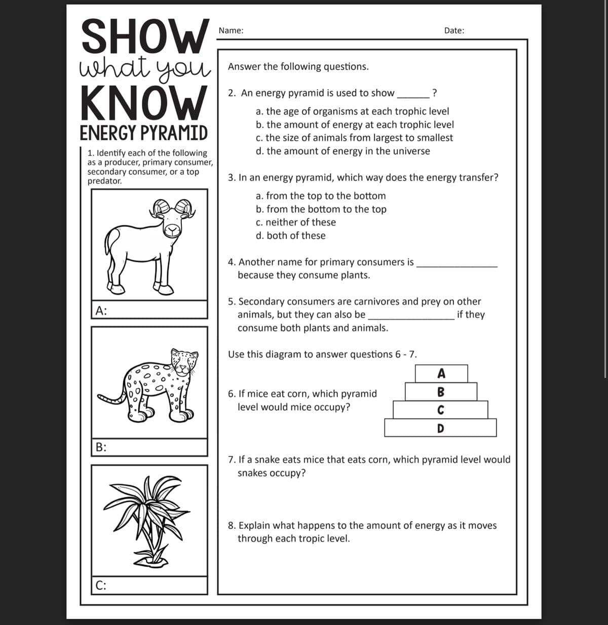 SHOW
what you
KNOW
Name:
Date:
Answer the following questions.
2. An energy pyramid is used to show
?
a. the age of organisms at each trophic level
b. the amount of energy at each trophic level
c. the size of animals from largest to smallest
d. the amount of energy in the universe
ENERGY PYRAMID
1. Identify each of the following
as a producer, primary consumer,
secondary consumer, or a top
predator.
3. In an energy pyramid, which way does the energy transfer?
a. from the top to the bottom
b. from the bottom to the top
c. neither of these
d. both of these
4. Another name for primary consumers is
because they consume plants.
5. Secondary consumers are carnivores and prey on other
animals, but they can also be
consume both plants and animals.
A:
if they
Use this diagram to answer questions 6 - 7.
A
B
6. If mice eat corn, which pyramid
level would mice occupy?
C
D
B:
7. If a snake eats mice that eats corn, which pyramid level would
snakes occupy?
8. Explain what happens to the amount of energy as it moves
through each tropic level.
С:
