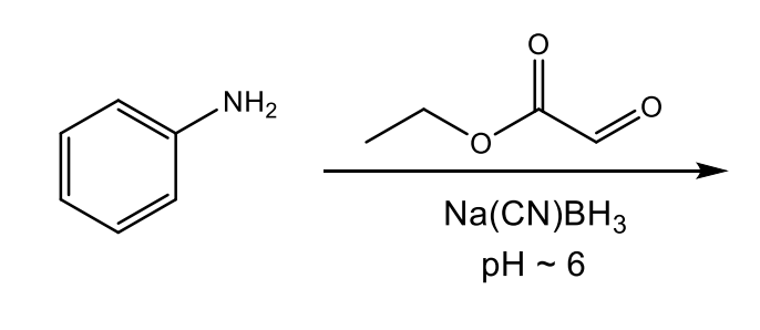 .NH2
Na(CN)BH3
pH-6