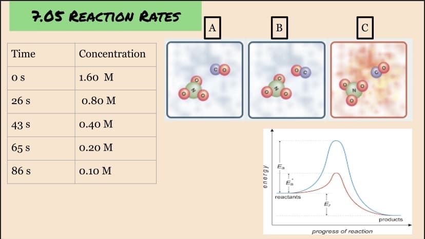 7.05 REACTION RATES
Time
OS
26 S
43 S
65 S
86 s
Concentration
1.60 M
0.80 M
0.40 M
0.20 M
0.10 M
A
energy
B
Ea
reactants
C
progress of reaction
products