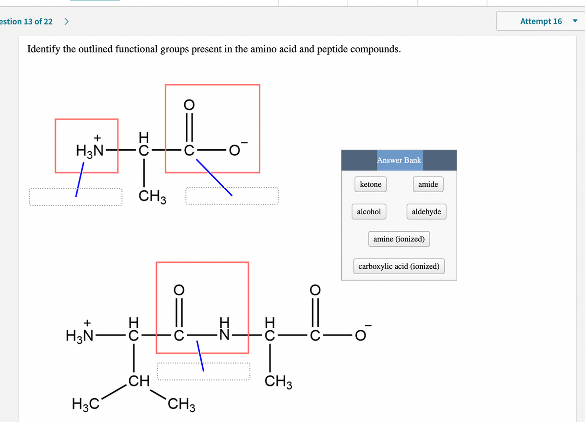 estion 13 of 22
>
Attempt 16
Identify the outlined functional groups present in the amino acid and peptide compounds.
+
H3N-
Answer Bank
ketone
amide
CH3
alcohol
aldehyde
amine (ionized)
carboxylic acid (ionized)
H.
-C-
H3N-
+
CH
CH3
H3C
CH3
HC-
IZ
