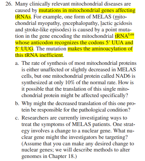 26. Many clinically relevant mitochondrial diseases are
caused by mutations in mitochondrial genes affecting
tRNAs. For example, one form of MELAS (mito-
chondrial myopathy, encephalopathy, lactic acidosis
and stroke-like episodes) is caused by a point muta-
tion in the gene encoding the mitochondrial tRNALeu
whose anticodon recognizes the codons 5' UUA and
5' UUG. The mutation makes the aminoacylation of
this tRNA inefficient.
a. The rate of synthesis of most mitochondrial proteins
is either unaffected or slightly decreased in MELAS
cells, but one mitochondrial protein called NAD6 is
synthesized at only 10% of the normal rate. How is
it possible that the translation of this single mito-
chondrial protein might be affected specifically?
b. Why might the decreased translation of this one pro-
tein be responsible for the pathological condition?
c. Researchers are currently investigating ways to
treat the symptoms of MELAS patients. One strat-
egy involves a change to a nuclear gene. What nu-
clear gene might the investigators be targeting?
(Assume that you can make any desired change to
nuclear genes; we will describe methods to alter
genomes in Chapter 18.)
