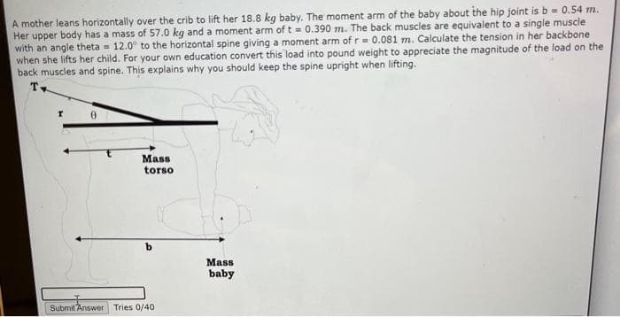 A mother leans horizontally over the crib to lift her 18.8 kg baby. The moment arm of the baby about the hip joint is b = 0.54 m.
Her upper body has a mass of 57.0 kg and a moment arm of t= 0.390 m. The back muscles are equivalent to a single muscle
with an angle theta = 12.0° to the horizontal spine giving a moment arm of r = 0.081 m. Calculate the tension in her backbone
when she lifts her child. For your own education convert this load into pound weight to appreciate the magnitude of the load on the
back muscles and spine. This explains why you should keep the spine upright when lifting.
Tv
0
Mass
torso
Submit Answer Tries 0/40
Mass
baby