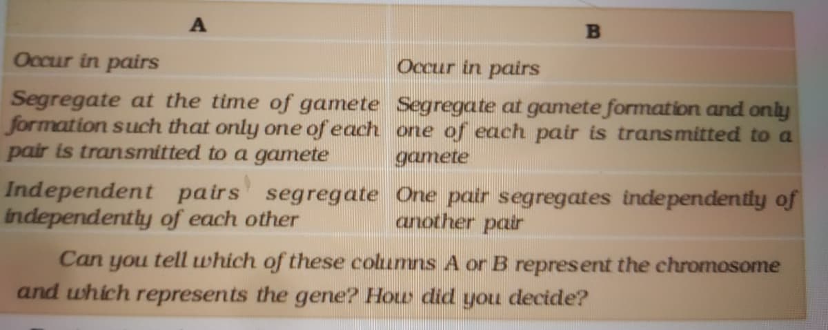 в
Occur in pairs
Occur in pairs
Segregate at the time of gamete Segregate at gamete formation and only
formation such that only one of each one of each pair is transmitted to a
pair is transmitted to a gamete
gamete
Independent pairs segregate One pair segregates independently of
independently of each other
another pair
Can you tell which of these columns A or B represent the chromosome
and which represents the gene? Hou did you decide?
