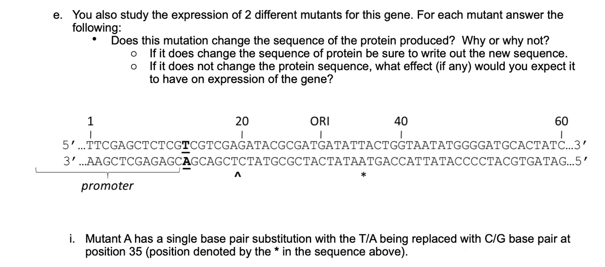 e. You also study the expression of 2 different mutants for this gene. For each mutant answer the
following:
Does this mutation change the sequence of the protein produced? Why or why not?
If it does change the sequence of protein be sure to write out the new sequence.
If it does not change the protein sequence, what effect (if any) would you expect it
to have on expression of the gene?
1
20
ORI
40
60
5'..TTCGAGCTCTCGTCGTCGAGATACGCGATGATATTACTGGTAATATGGGGATGCACTATC...3’
3'..AAGCTCGAGAGCAGCAGCTCTATGCGCTACTATAATGACCATTATACCCCTACGTGATAG...5'
promoter
i. Mutant A has a single base pair substitution with the T/A being replaced with C/G base pair at
position 35 (position denoted by the * in the sequence above).
