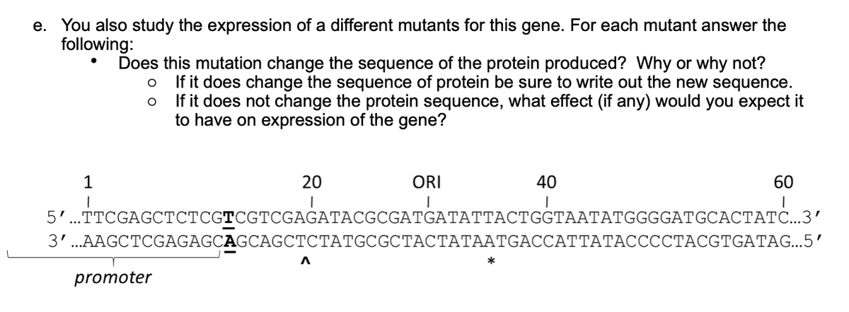 e. You also study the expression of a different mutants for this gene. For each mutant answer the
following:
Does this mutation change the sequence of the protein produced? Why or why not?
If it does change the sequence of protein be sure to write out the new sequence.
If it does not change the protein sequence, what effect (if any) would you expect it
to have on expression of the gene?
1
20
ORI
40
60
5'
..TTCGAGCTCTCGTCGTCGAGATACGCGATGATATTACTGGTAATATGGGGATGCACTATC...3'
3'...AAGCTCGAGAGCAGCAGCTCTATGCGCTACTATAATGACCATTATACCCCTACGTGATAG...5’
promoter
