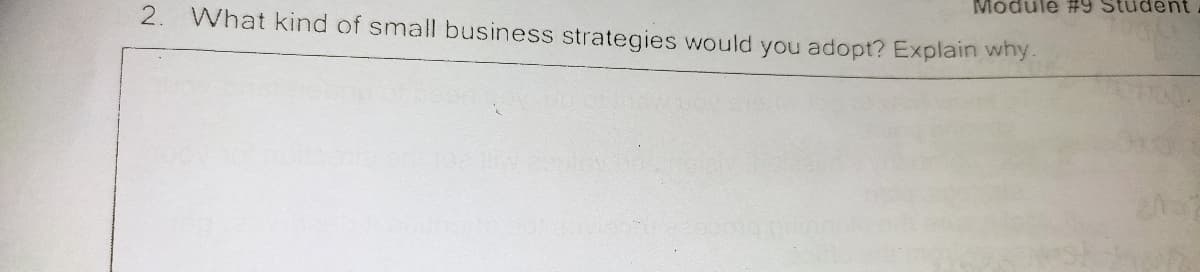 Module #9 Student
2.
What kind of small business strategies would you adopt? Explain why.
