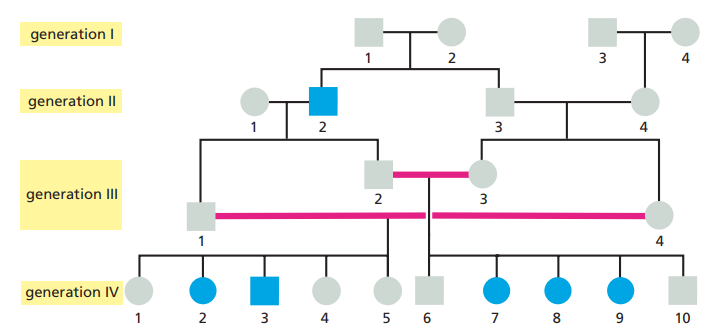 generation I
2
3
generation II
3
generation III
3
generation IV
1
2
3
4
5 6
7 8
10
2.
