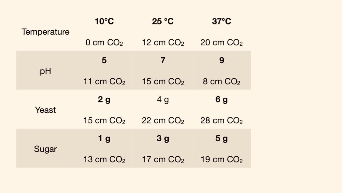 10°C
25 °C
37°C
Temperature
0 cm CO2
12 cm CO2
20 cm CO2
5
7
9
pH
11 cm CO2
15 cm CO2
8 cm CO2
2g
4 g
6 g
Yeast
15 cm CO2
22 cm CO2
28 cm CO2
1 g
3 g
5 g
Sugar
13 cm CO2
17 cm CO2
19 cm CO2
