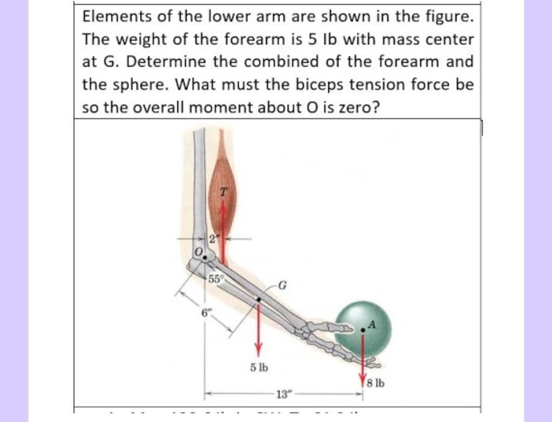 Elements of the lower arm are shown in the figure.
The weight of the forearm is 5 Ib with mass center
at G. Determine the combined of the forearm and
the sphere. What must the biceps tension force be
so the overall moment about O is zero?
2"
55
6th
5 lb
8 lb
13"

