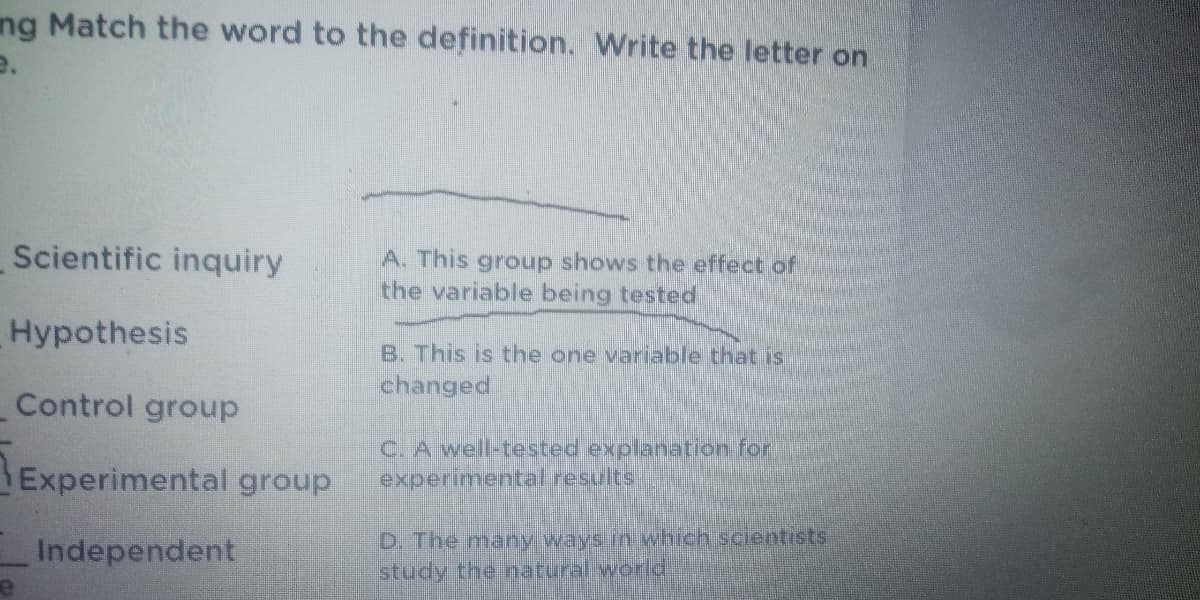 ng Match the word to the definition. Write the letter on
Scientific inquiry
A. This group shows the effect of
the variable being tested
Hypothesis
B. This is the one variable that is
changed
Control group
Experimental group
C. A well-tested explanation for
experimental results
Independent
D. The many ways in which scientists
study the natural world
