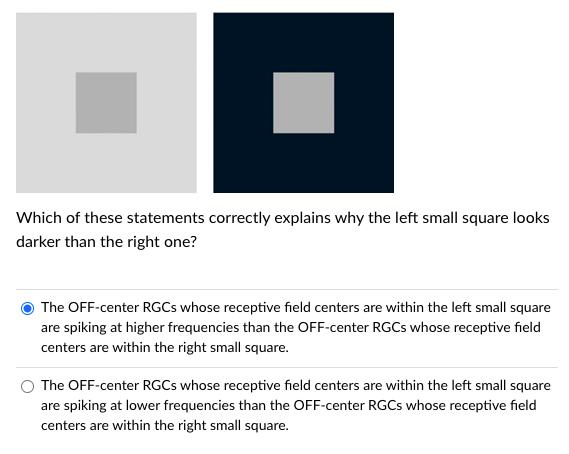 Which of these statements correctly explains why the left small square looks
darker than the right one?
The OFF-center RGCS whose receptive field centers are within the left small square
are spiking at higher frequencies than the OFF-center RGCS whose receptive field
centers are within the right small square.
The OFF-center RGCS whose receptive field centers are within the left small square
are spiking at lower frequencies than the OFF-center RGCS whose receptive field
centers are within the right small square.
